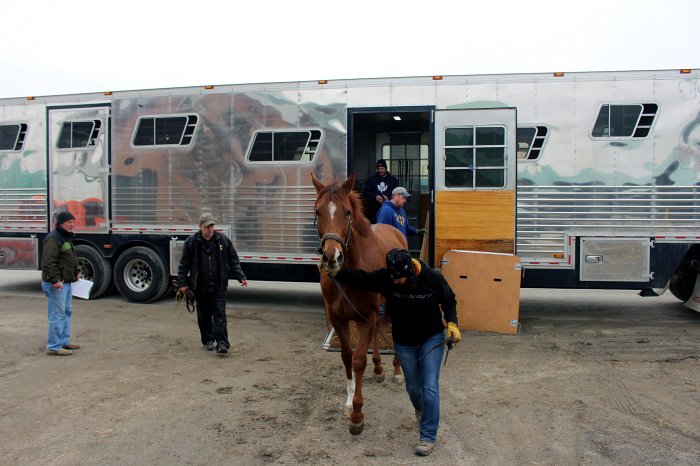 Woodbine backstretch open for business