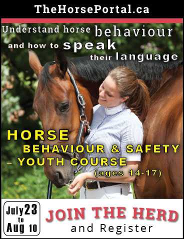 Equine Guelph: Totally Cool Summer School Online for Horse Lovers