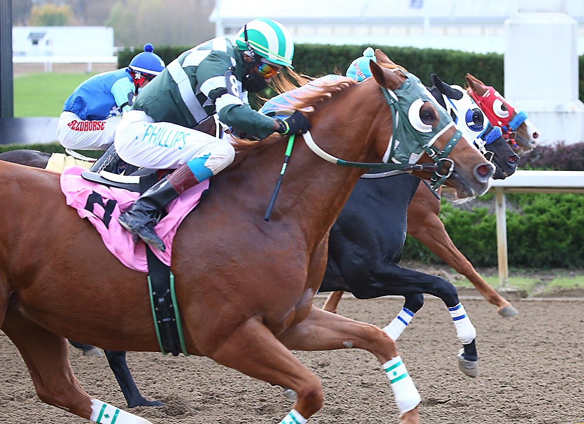 Fiesty Icon Powers to Gridiron Gallop Victory