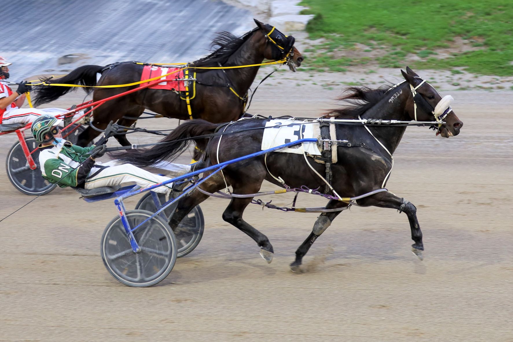 Garnet Barnsdale’s The Raceway at the Western Fair District Selections: Monday, December 6, 2021