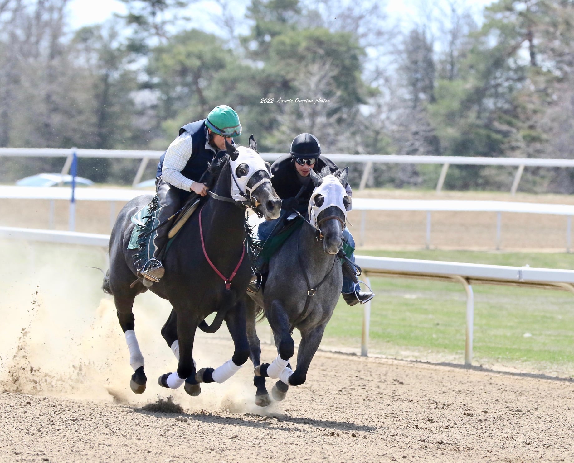 Oh Baby! Ontario Bred 2-Year-Olds in Trials for $60,0000 Futurity