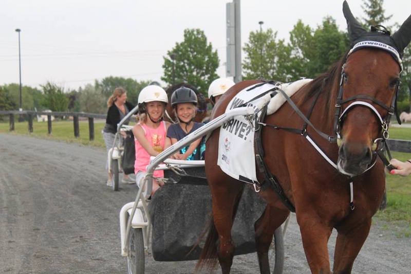 Family Fun Night At Kawartha Saturday