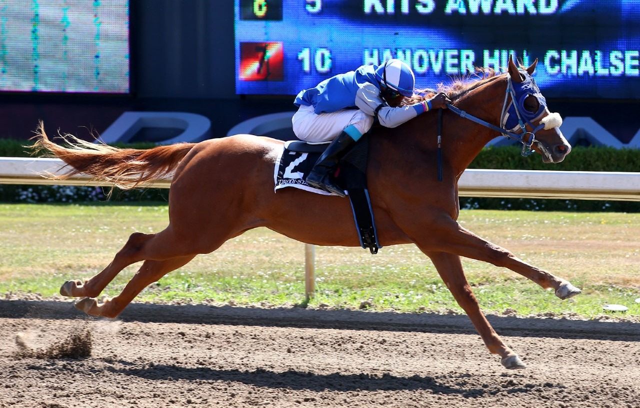 Check out Eazy Street at Ajax Downs this Monday