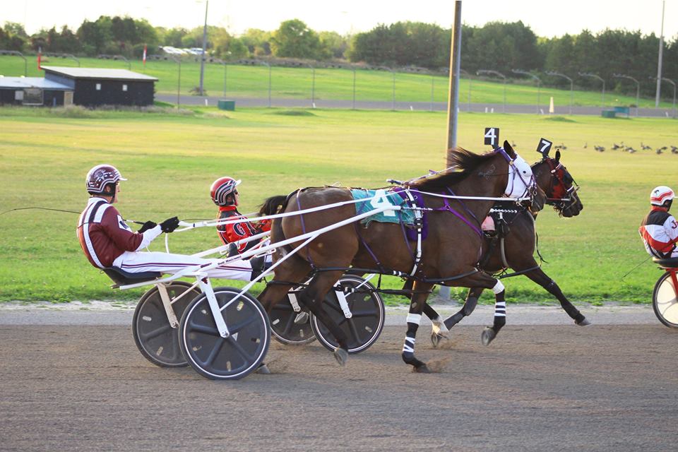 Garnet Barnsdale’s Rideau Carleton Raceway Selections: Sunday, September 9, 2019