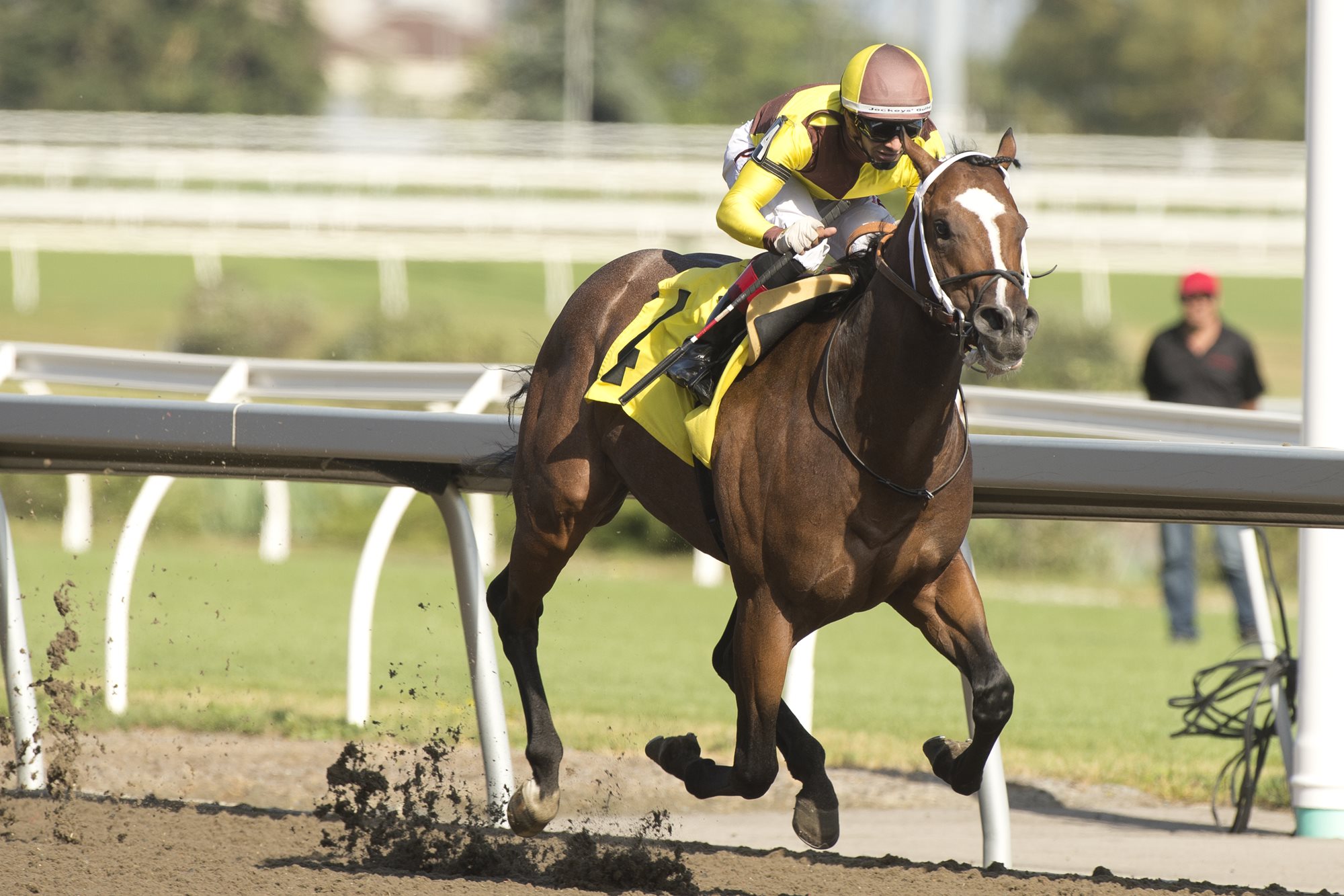 This Weekend's Woodbine Stakes Trends