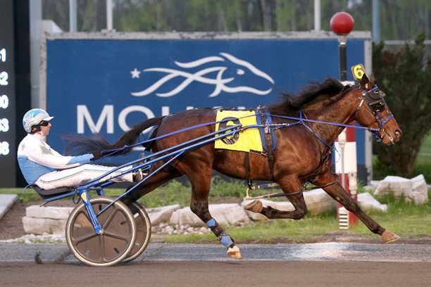Muscle Hustle demolishes trotting colt record at Georgian Downs