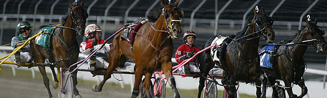 Celebration Of The Horse Tonight!