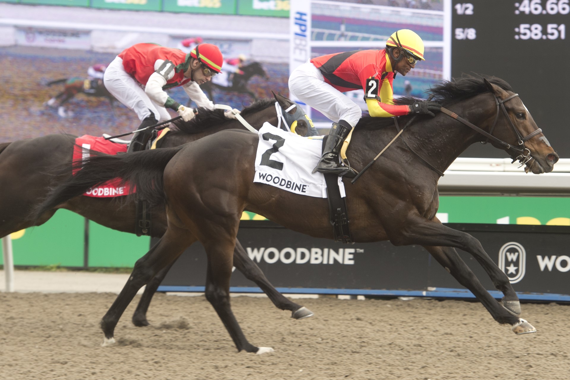 Midnight Mascot favoured in 89th Prince of Wales at Fort Erie Race Track