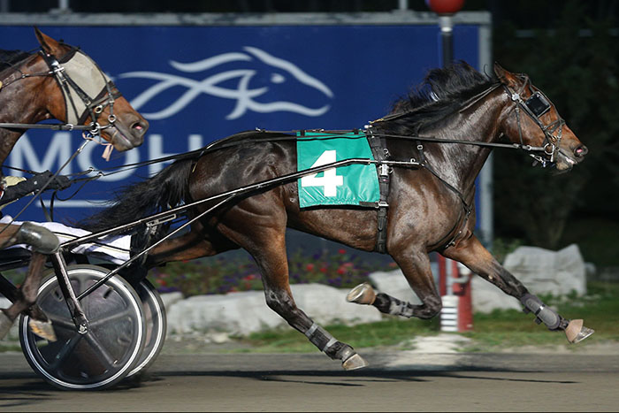 Hometown filly scores Gold win number four at Mohawk
