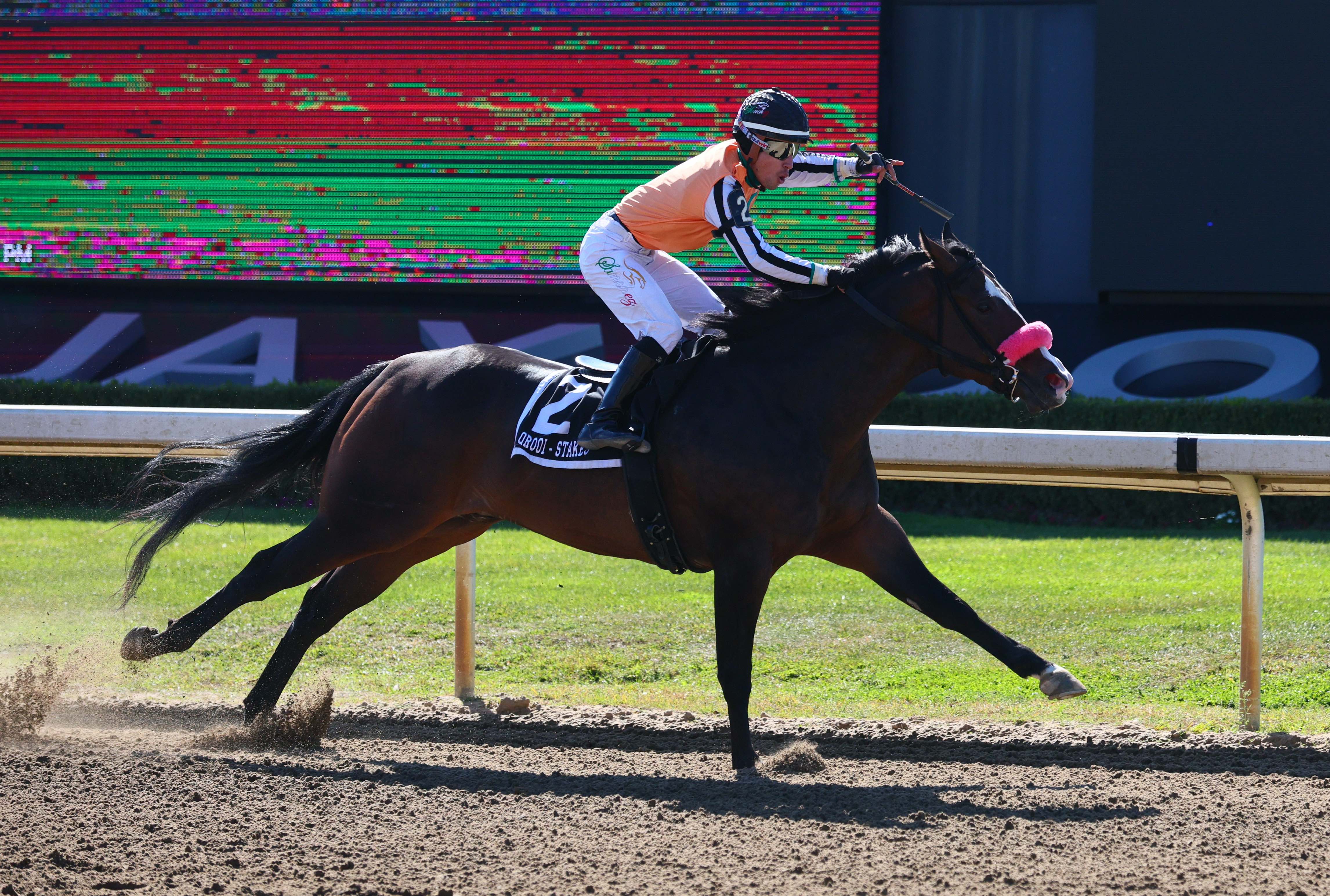 Dark N Stormy is a Star on the Rise