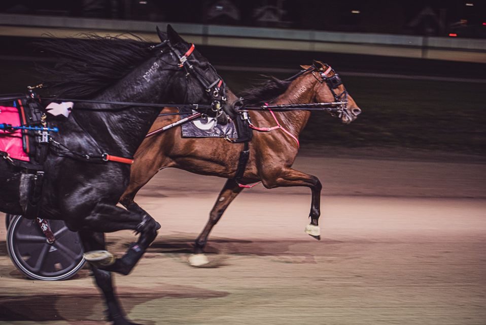 Garnet Barnsdale’s Western Fair Raceway Selections: Friday, November 20, 2020