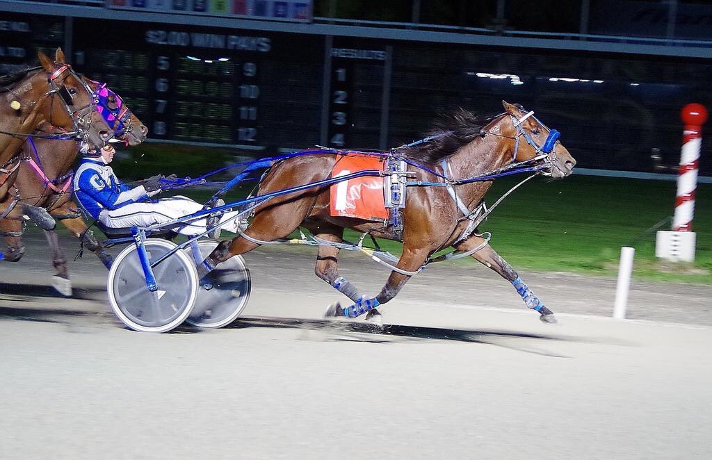 Garnet Barnsdale’s Flamboro Downs Selections: Sunday, March 21, 2021