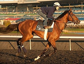 Ontario Stallion Spotlight: Hyper