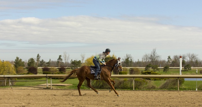 Training Begins for 2016 Fort Erie Racing Season