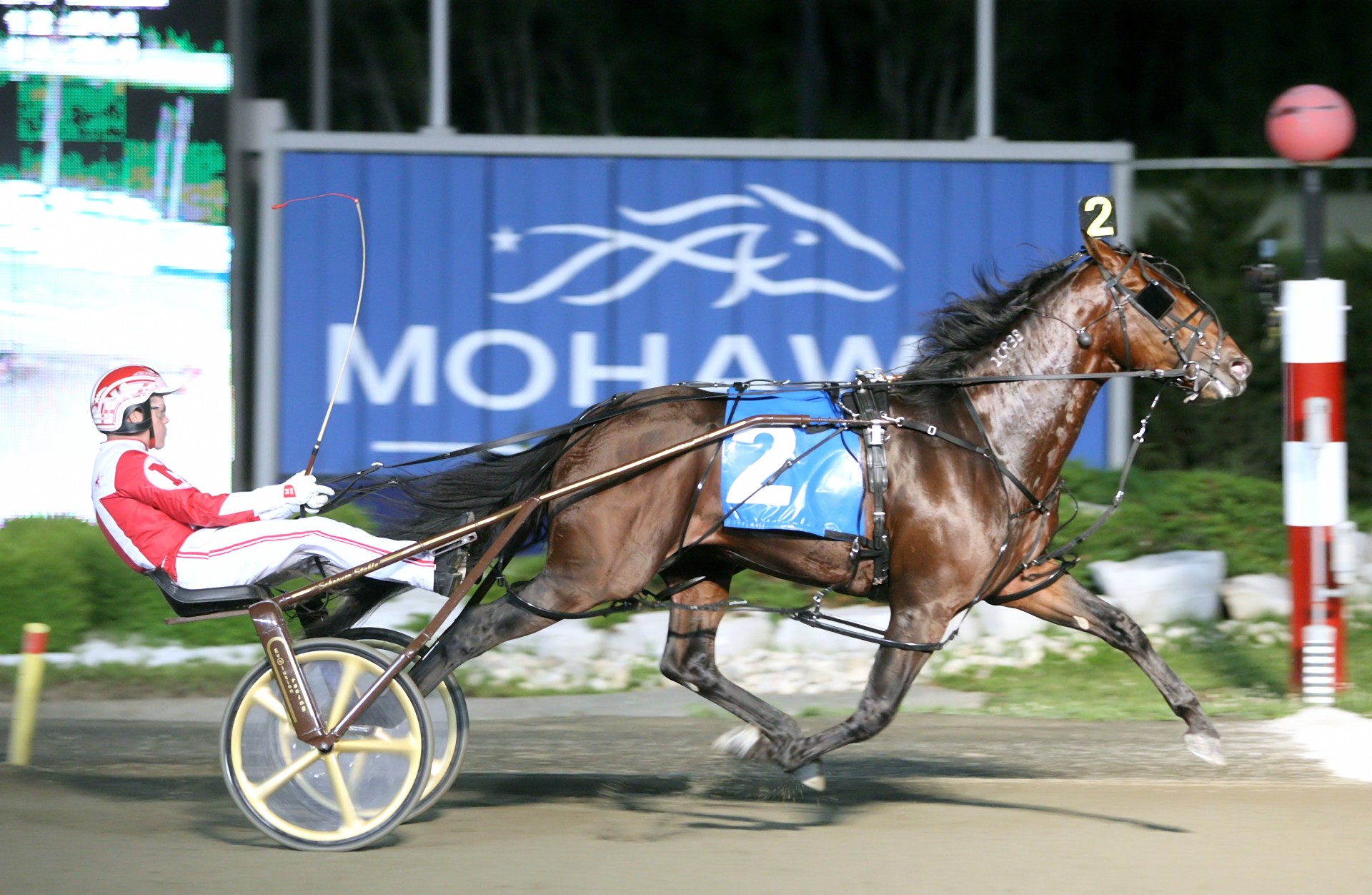 Somebeachsomewhere tops poll celebrating Ontario Sires Stakes’ 50-year history