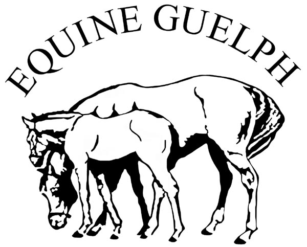 Q1 OAHN Equine network owner report