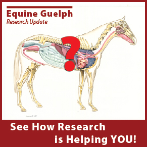 Equine Guelph Research Annual