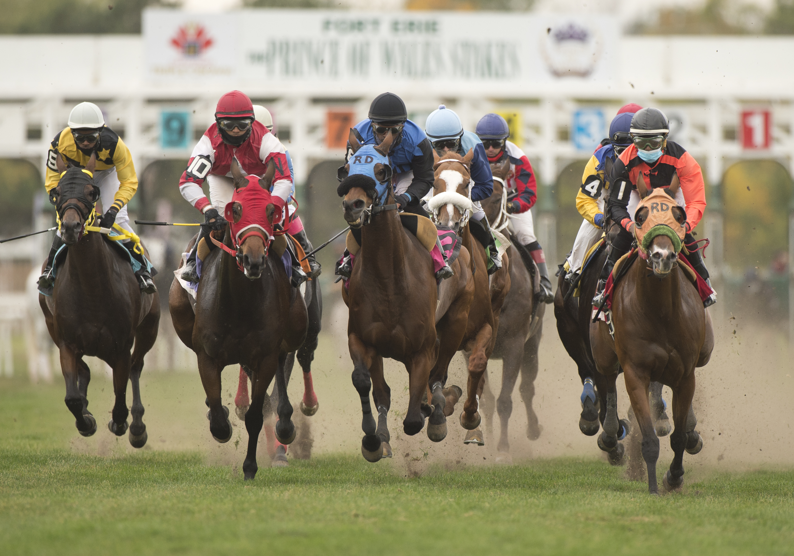 Fort Erie Race Track prepares for season and adds two additional race days