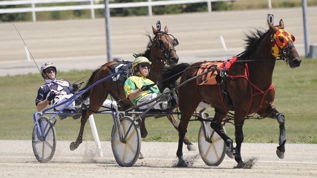 Garnet Barnsdale’s Flamboro Downs Selections: Saturday, October 17, 2020