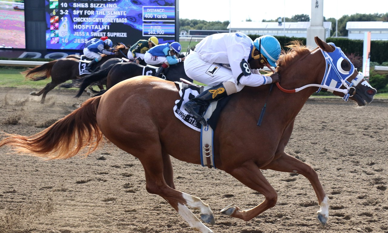 Hospitaliti Speeds To Picov Derby Victory 