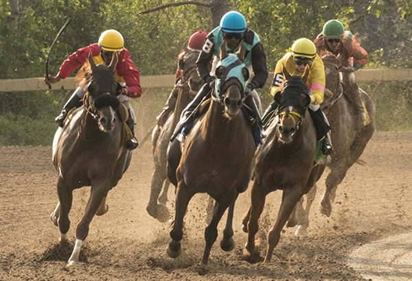 Prince of Wales Stakes