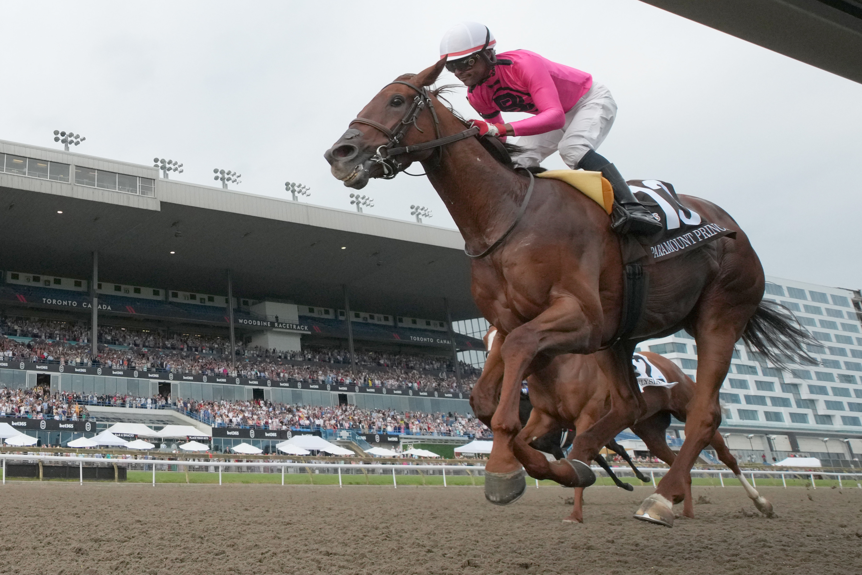 Paramount Prince and jockey Patrick Husbands winning The 164th King's Plate at Woodbine (Michael Burns Photo)