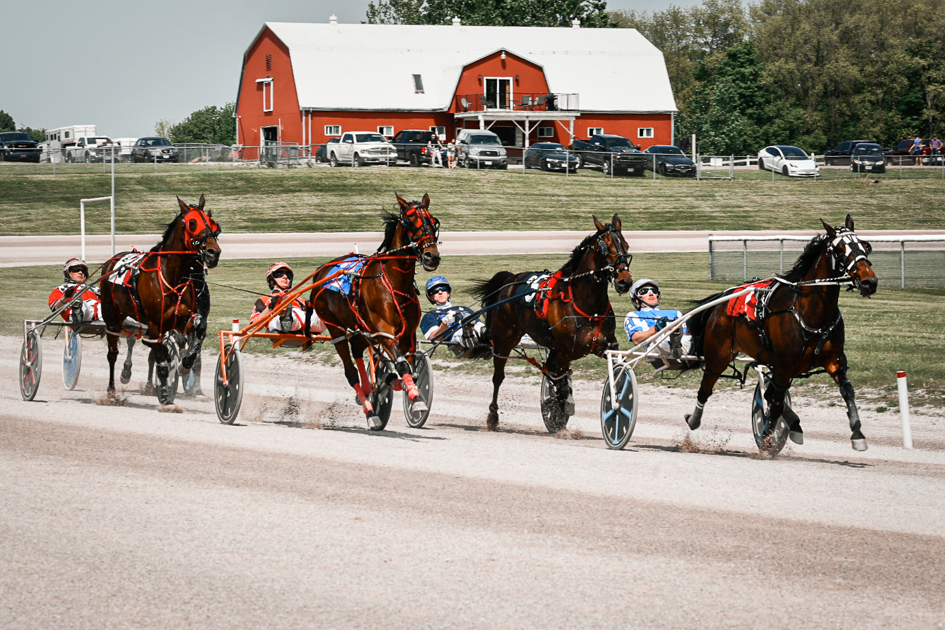Live Harness Racing returns to Clinton May 19