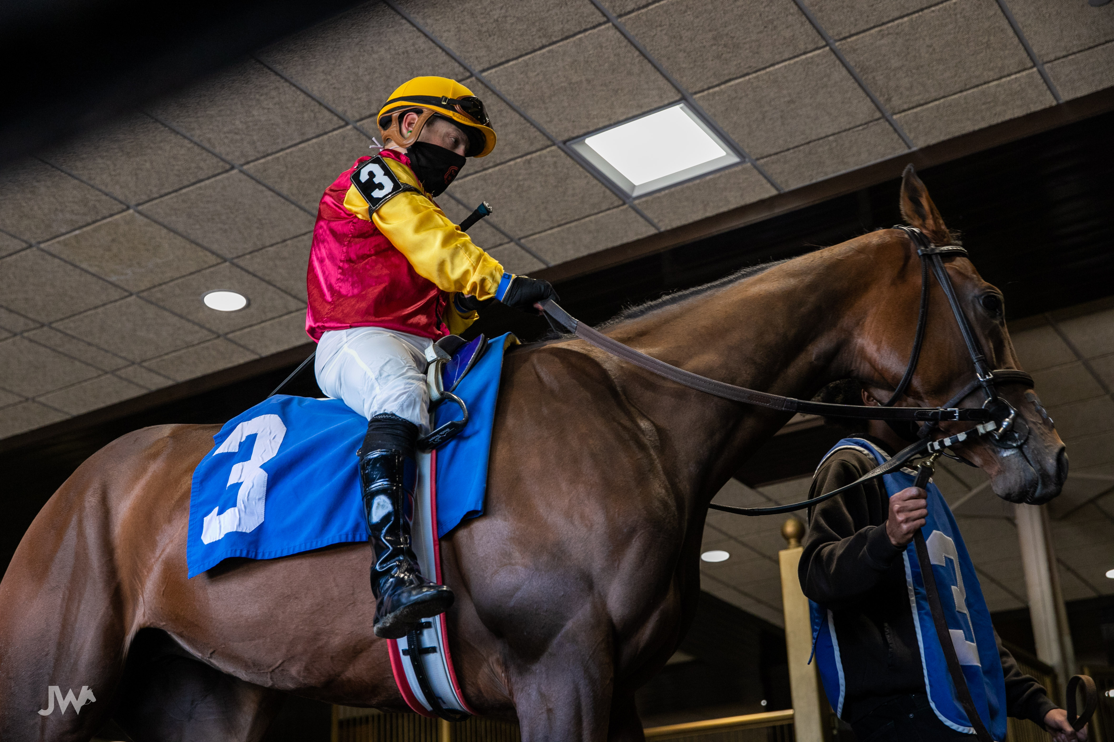 Jennifer Morrison S Woodbine Thoroughbred Selections Saturday October 3 2020 Ontario Racing