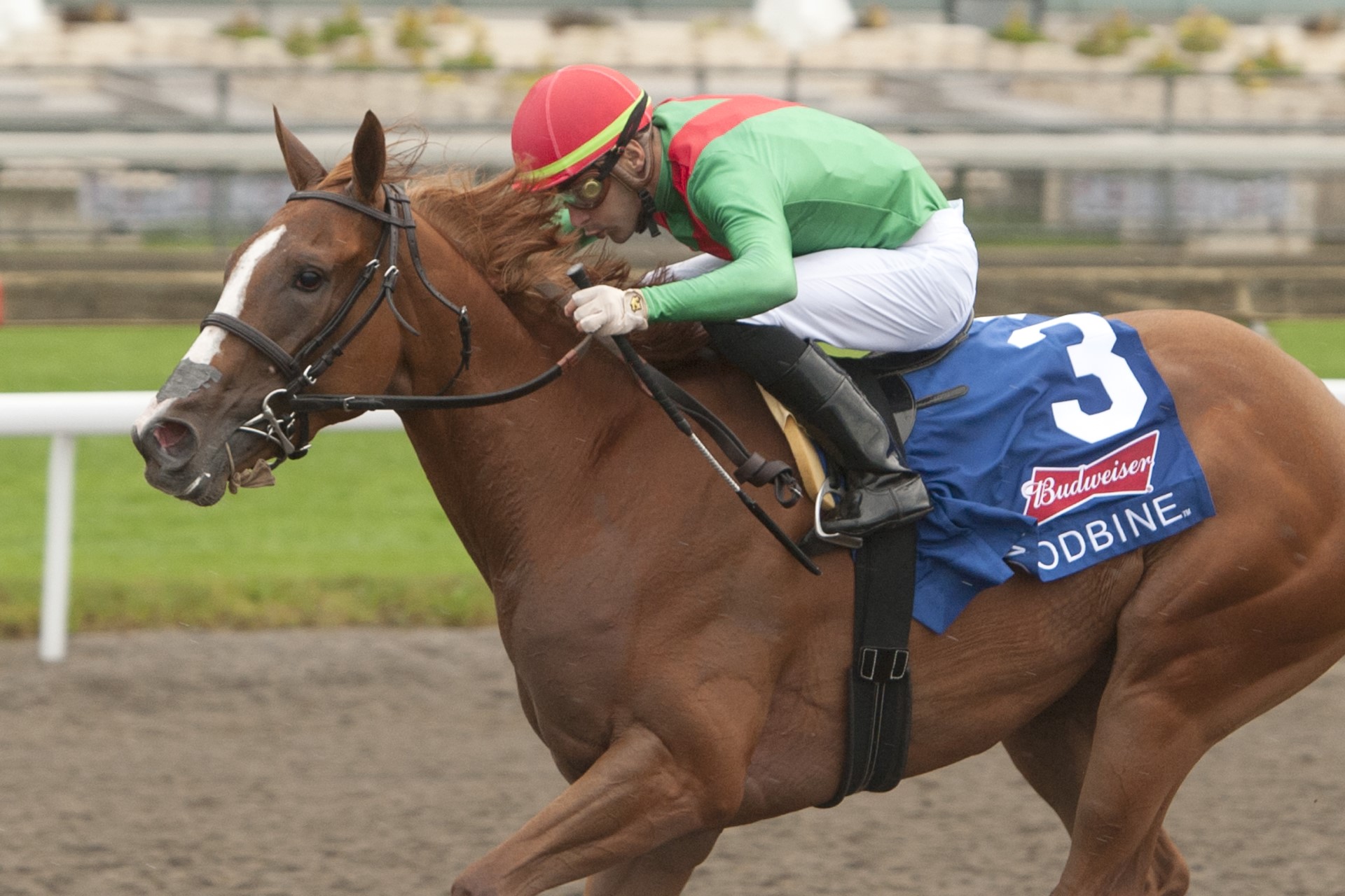 Elysian Field and Sahin Civaci winning the Woodbine Oaks Presented by Budweiser. (Michael Burns Photo)