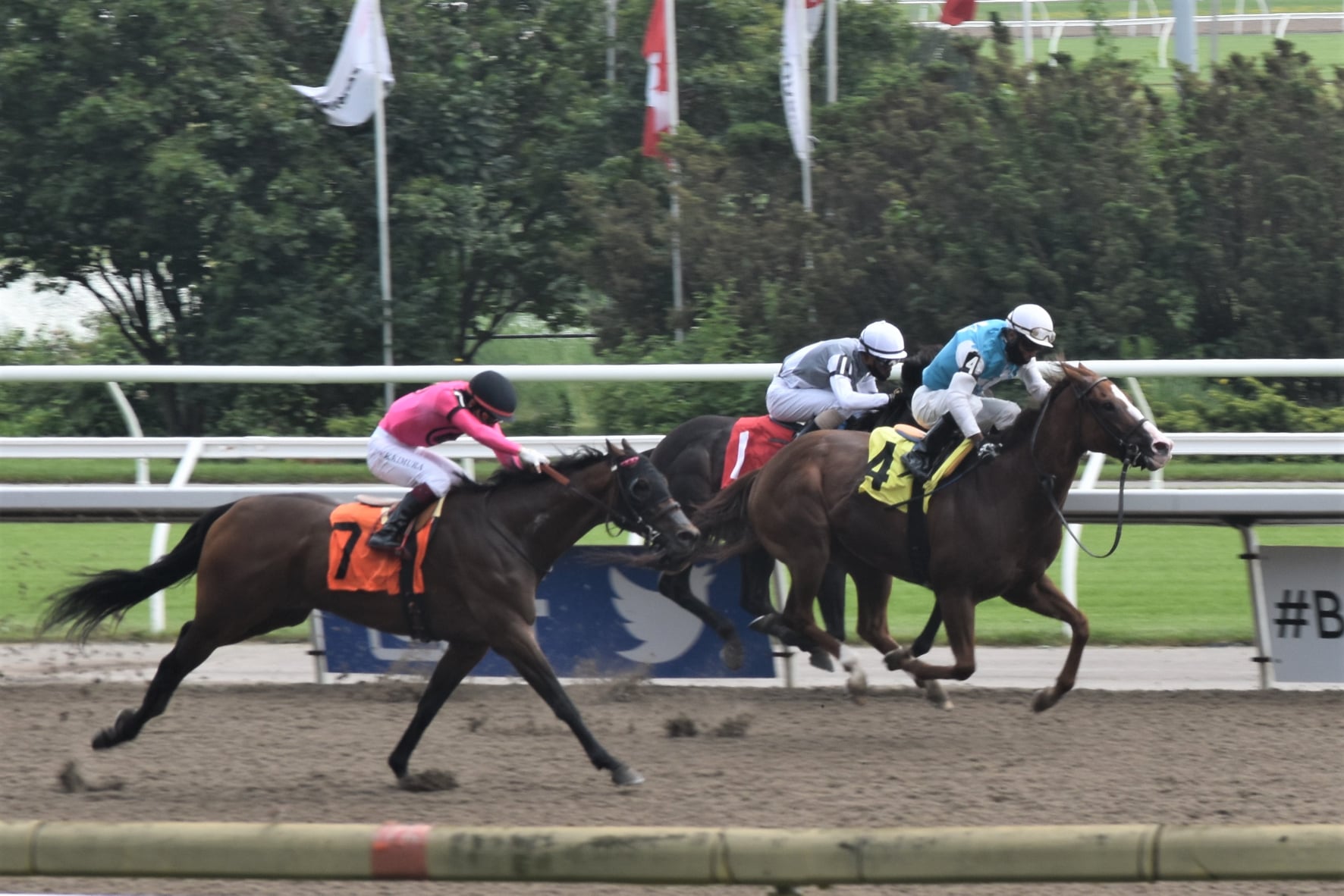 Jennifer Morrison’s Woodbine Thoroughbred Selections: Sunday, August 1, 2021