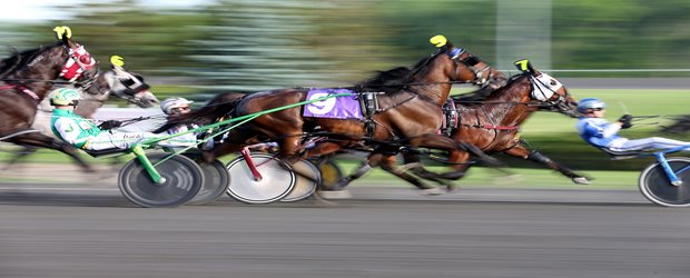 Wagering up 9.6 per cent, other gains from Standardbred Alliance 