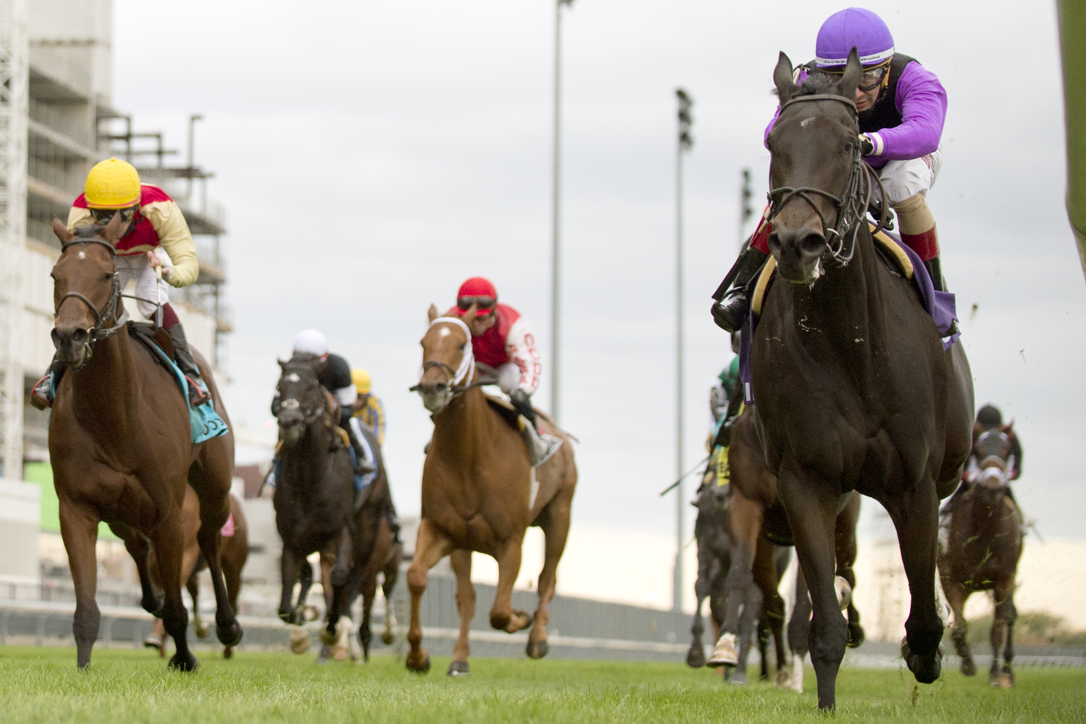 Secret Reserve wins the Lake Superior Stakes (Michael Burns Photo)