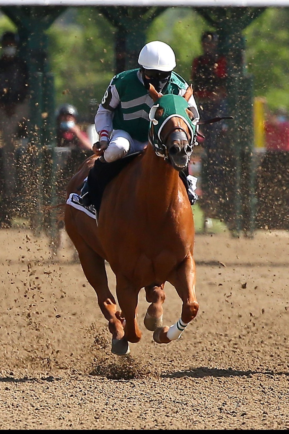 Night Fishn Looks to Reel In Rivals in Ajax Downs Feature Oct. 13