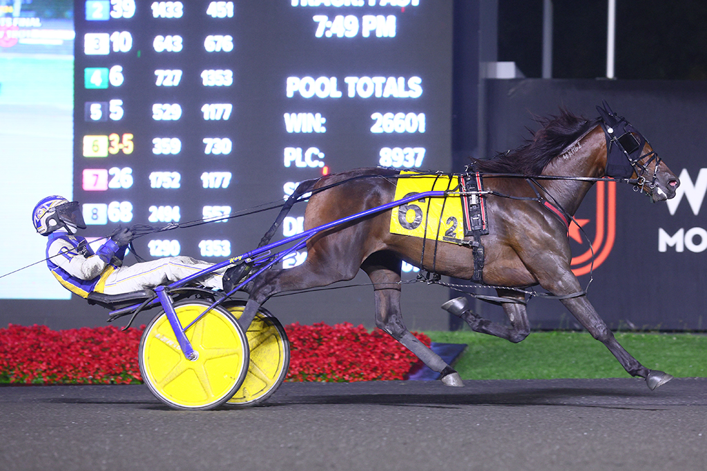 Tellers Choice prevails as bettors’ choice in Grassroots rookie trotting filly championship