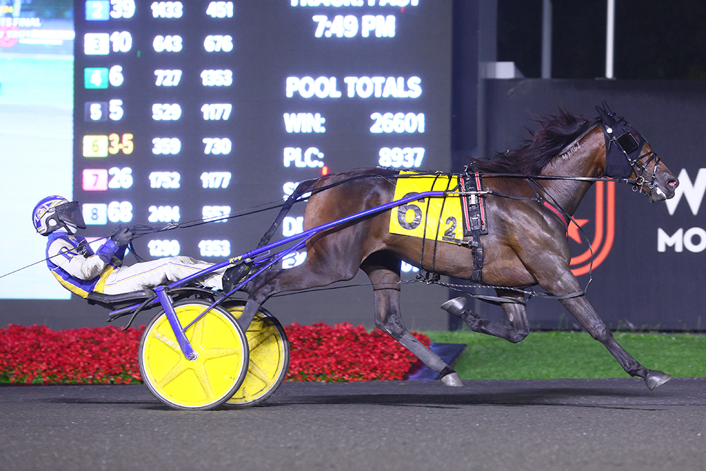 Tellers Choice prevails as bettors’ choice in Grassroots rookie trotting filly championship