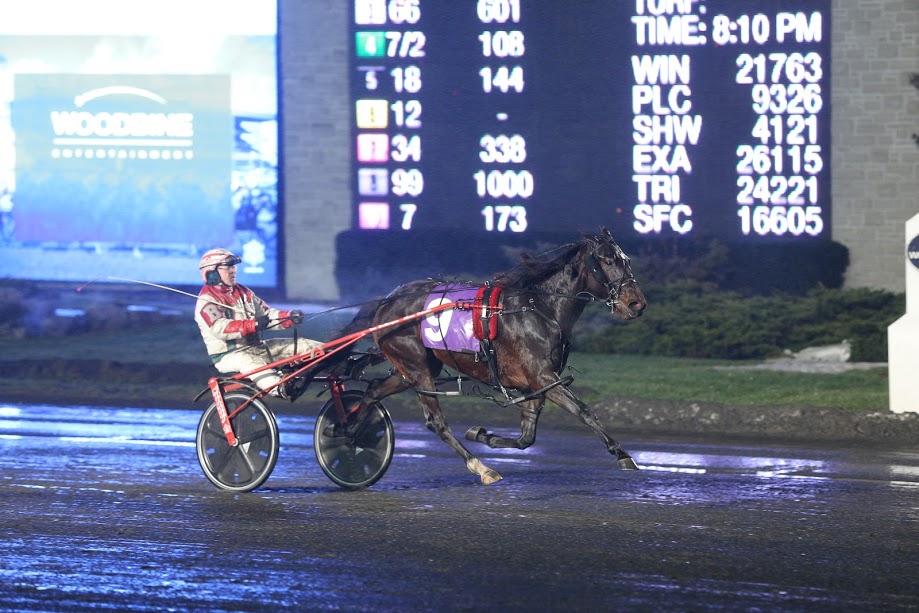 Winter Series takeover at Woodbine