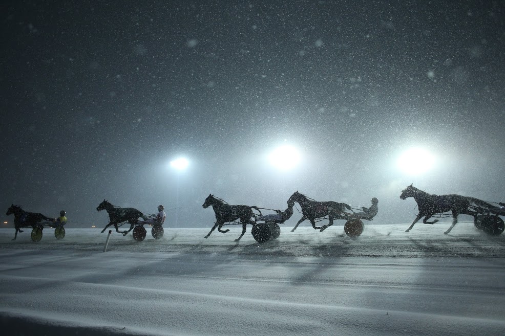 Woodbine unveils Winter Series