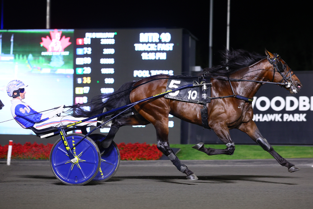 Never in danger, Periculum is perfection in Maple Leaf Trot