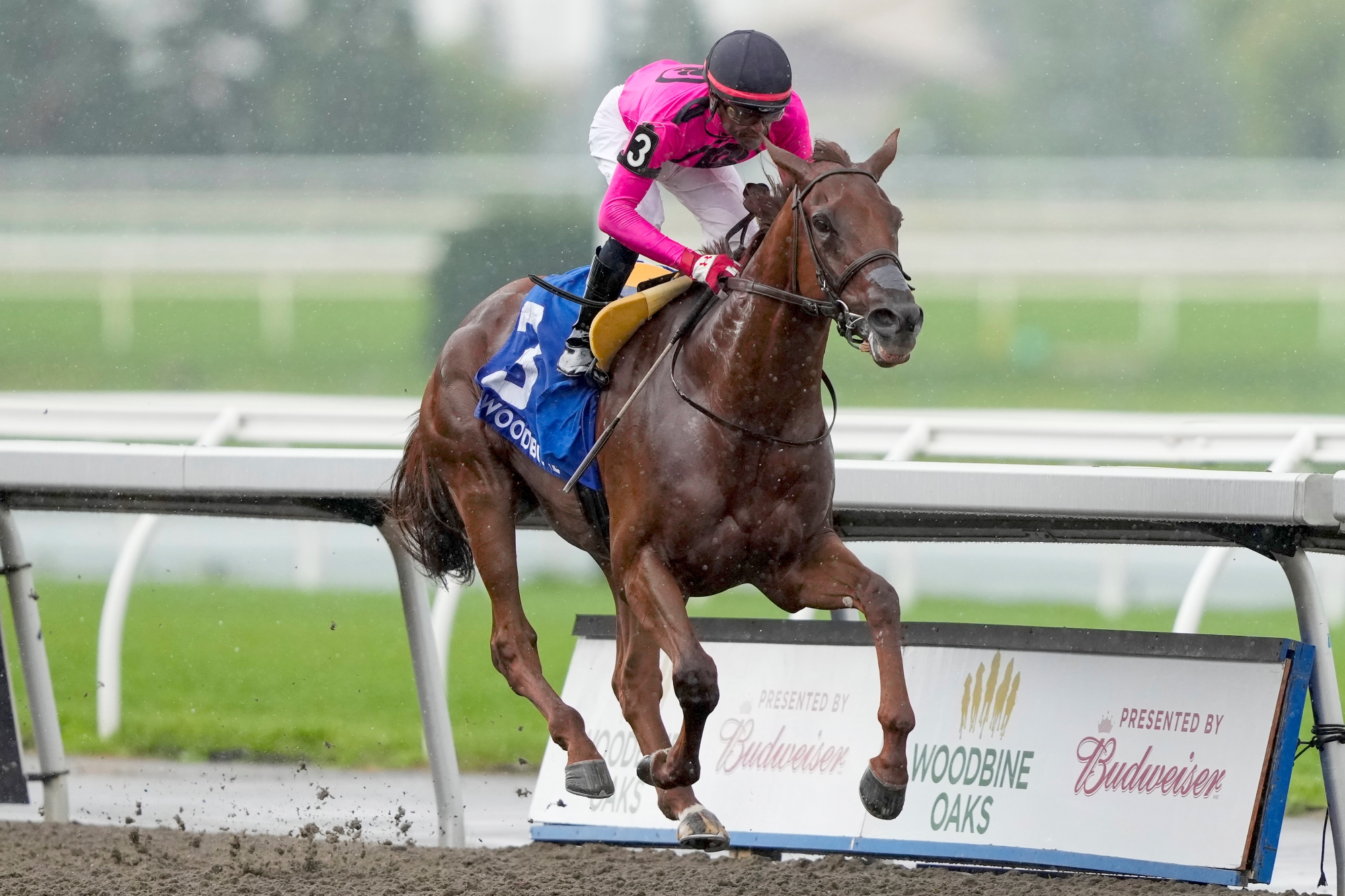 Paramount Prince Taking Ontario Breeder on Ride of a Lifetime
