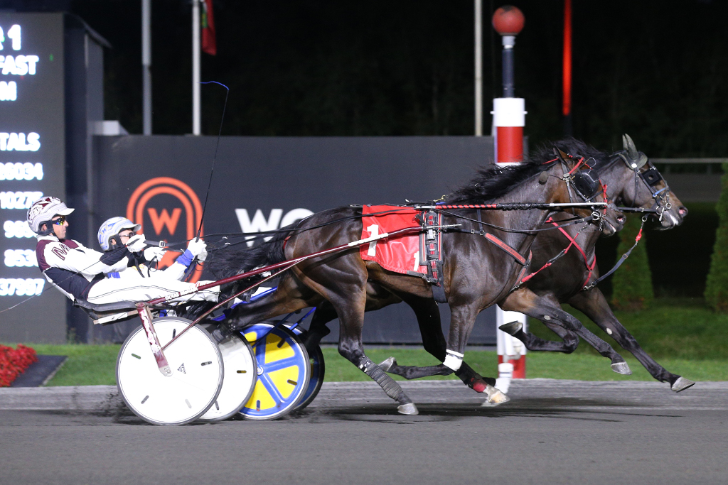 Trotters Star in Ontario Sires Stakes Gold Series fifth leg