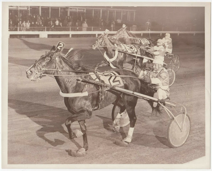 Armbro Sonnet and driver Joe O’Brien are seen here after notching a win.