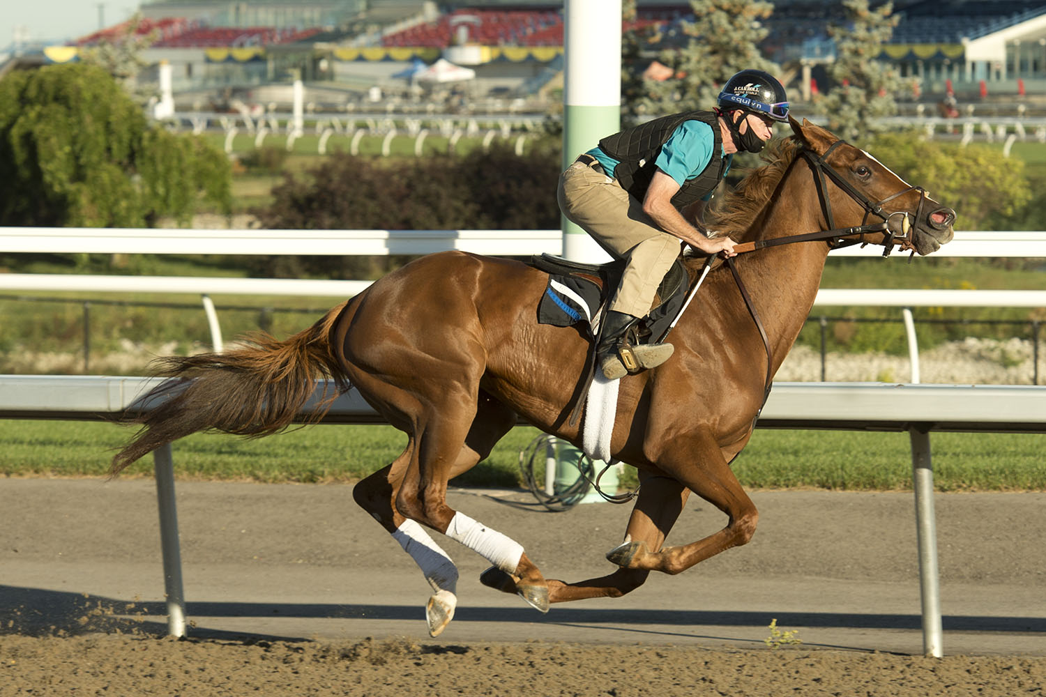 Clayton, Curlin’s Voyage face 12 rivals in compelling edition of Queen’s Plate