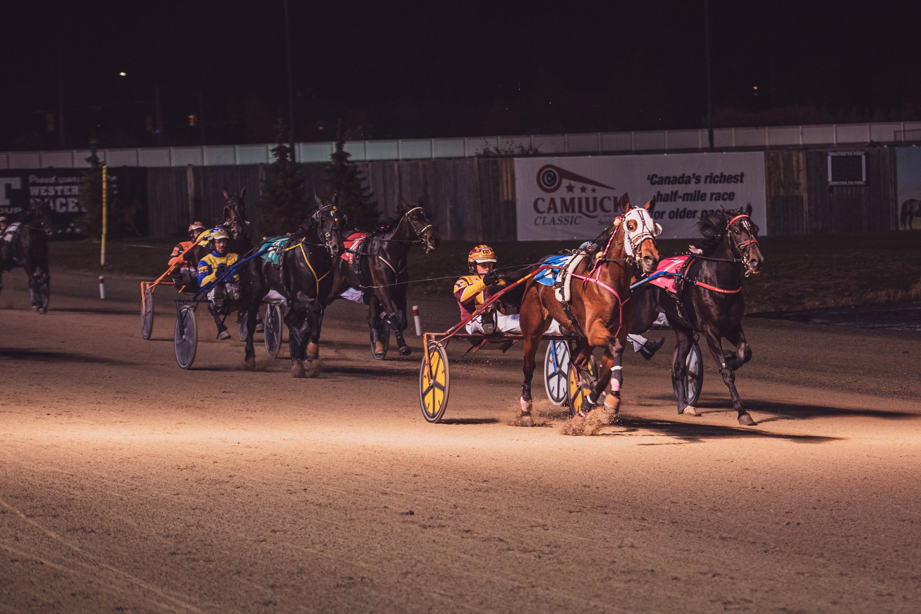 Garnet Barnsdale’s Western Fair Selections: Monday, January 6, 2020 