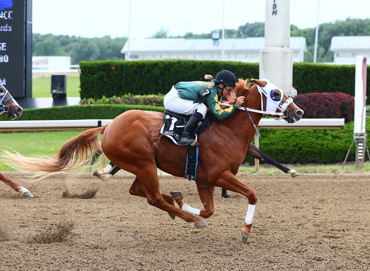 Hawkin the Straw and Helen Vanek Take Ontario Bred Derby at Ajax Downs