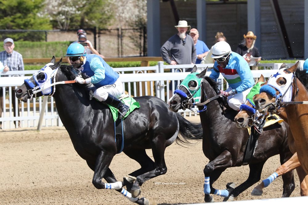 Sunny Skies Mark Magical Return of Quarter Horses to Ajax Downs