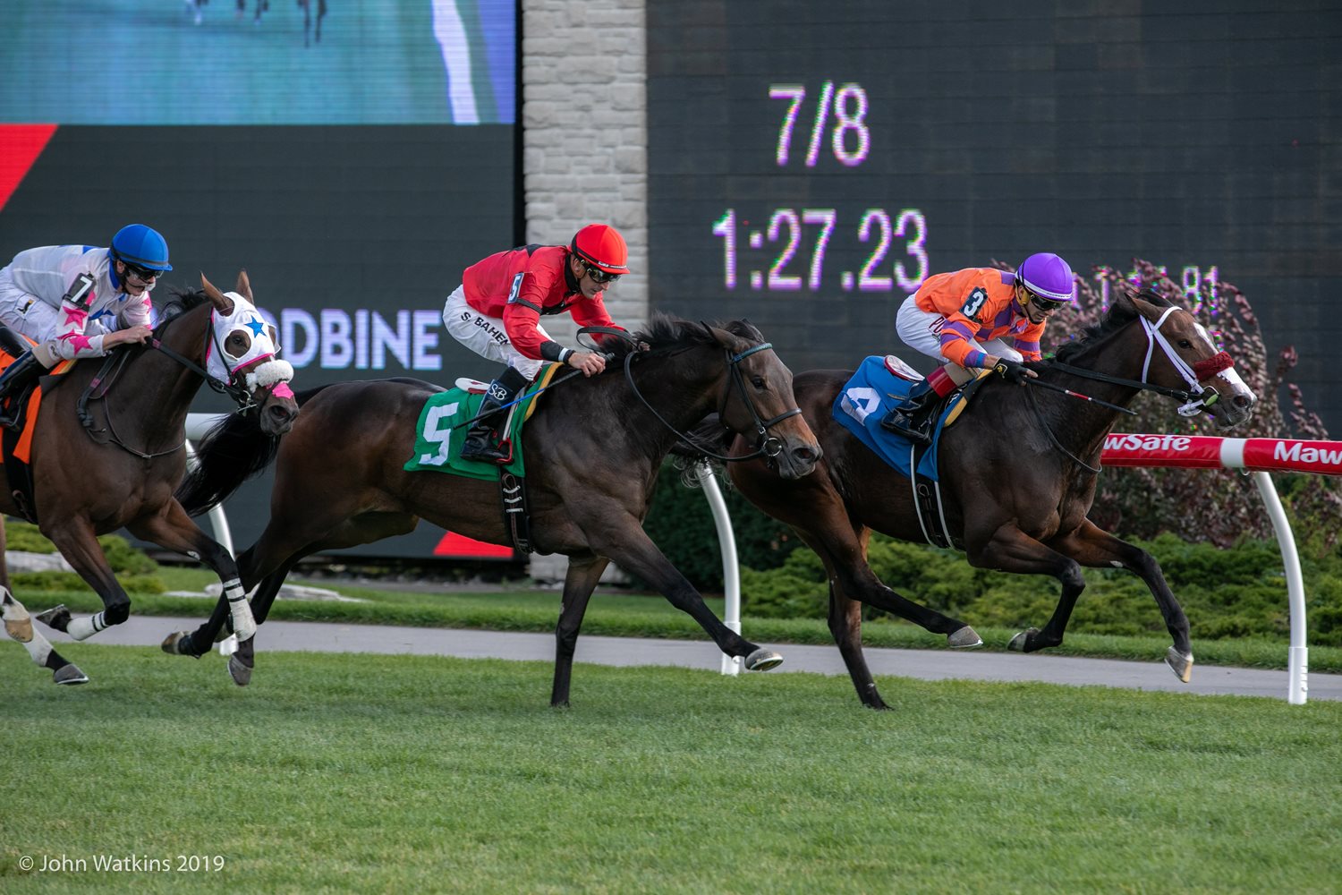 woodbine thoroughbred results today