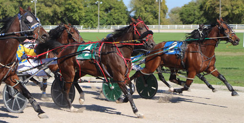 Leamington Raceway Set to Open for 11th Season