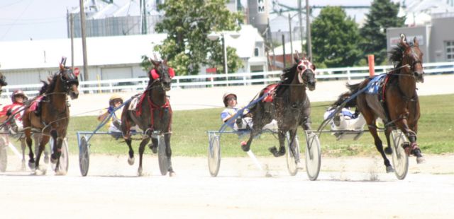 Mark Austin Pacing Series set to go at Dresden