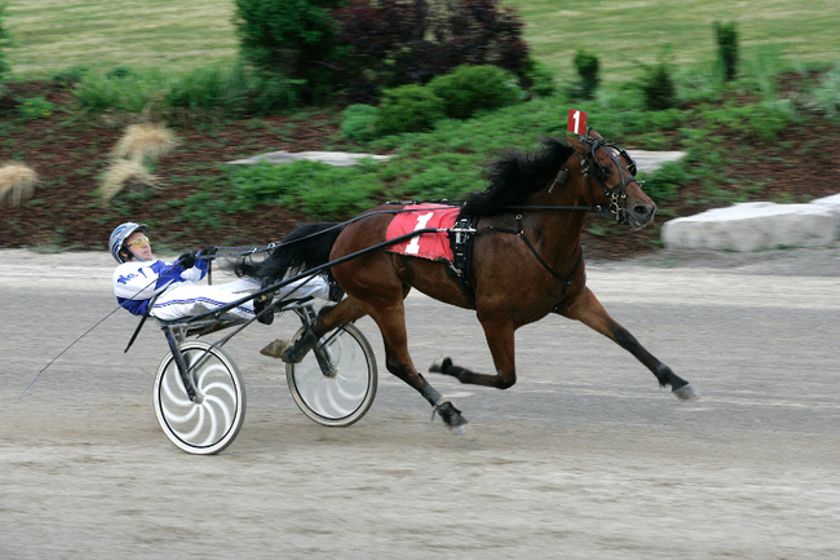 Nick Barnsdale’s Hiawatha Horse Park Selections: Saturday, July 31, 2021