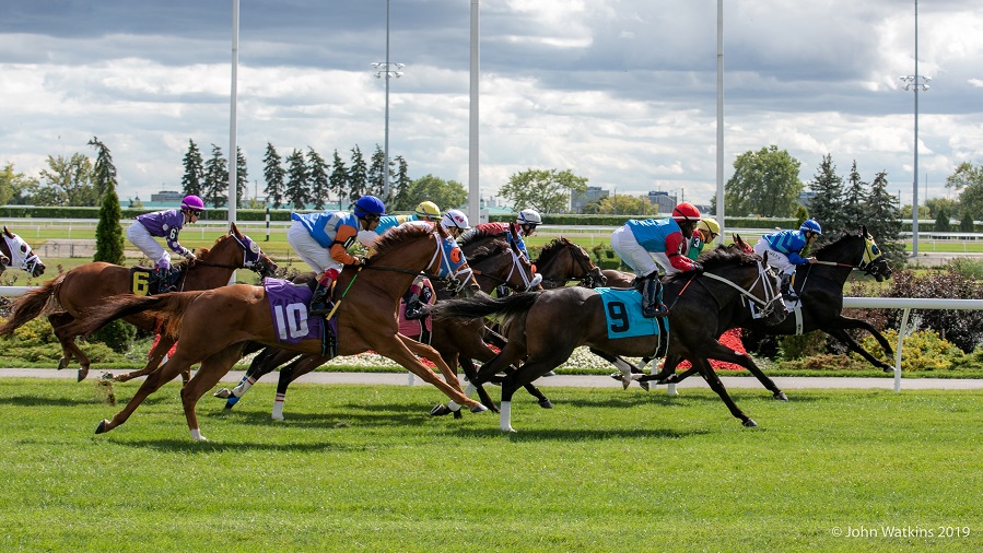 New wagers for 2020 at Woodbine Mohawk Park